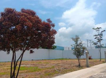 Terreno / Lote , Jocotepec · Terreno en Venta en Jocotepec, Coto Lake Shore, Jalisco
