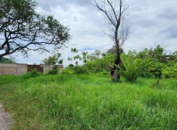 Terreno / Lote , Tala · Terreno en San Isidro Mazatepec 2,500 m²