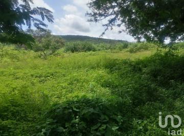 Terreno / Lote · 29965m² · 10 Estacionamientos · Terreno Residencial en Venta Morelos