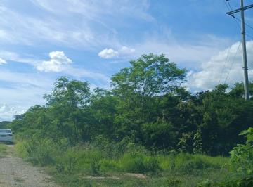 Terreno / Lote · 245m² · Terreno en Venta en Baca Yucatan