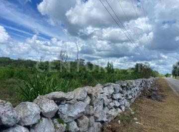 Edificio · 100000000m² · Venta de Terreno en Hocaba Pueblo Mágico. Centro