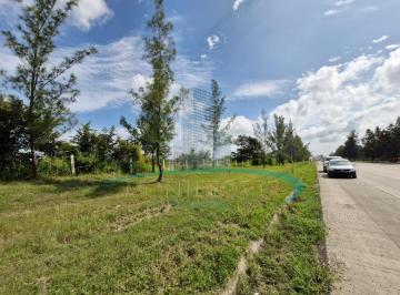 Terreno / Lote · 36000m² · Terreno en Ejido Ejido Ricardo Flores Magón
