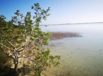 Terreno / Lote · 225492m² · Venta Terreno Hotelero Bacalar