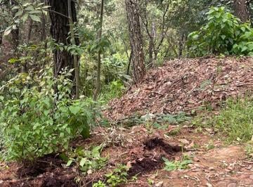 Terreno / Lote , Mazamitla · Terreno en Venta Ubicado en Mazamitla