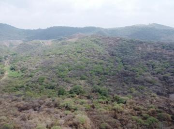 Terreno / Lote , Villa Corona · Terreno en Venta Villa Corona 80 Hectáreas
