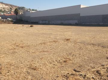 Terreno / Lote , Tijuana · 10,000 m² / Alamar / Bardeado