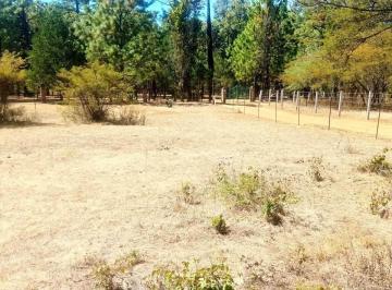 Terreno / Lote , Tapalpa · Terreno en Venta en Tapalpa, Jalisco