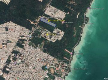 Terreno / Lote · 41154m² · Terreno en Venta/renta en Chetumal Av Centenario