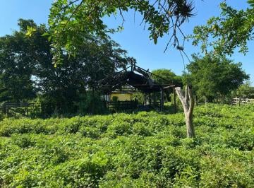 Huerta de 2 habitaciones, Medellín · Venta Ha a un Costado de Campo Experimental Cotaxtla