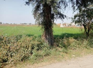 Terreno / Lote , Texcoco · Terreno en Venta en San Felipe Texcoco de Mora Estado de Mèxico