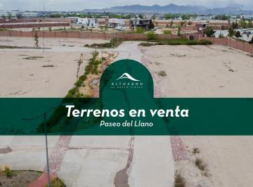 Terreno / Lote · 300m² · Terrenos en Venta - Paseo del Llano