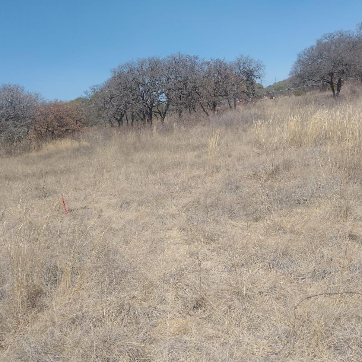 Rustic Land