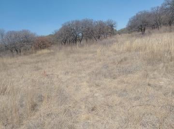 Terreno / Lote , Amozoc · Terreno Rustico