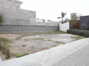 Terreno / Lote , Pachuca · Lote Habitacional en Venta en Mina Alsacia, Zona Plateada