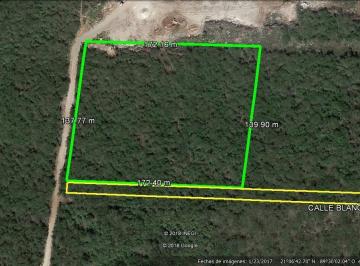 Terreno / Lote · 23760m² · Terreno de 2.3 Has en Venta en Mérida