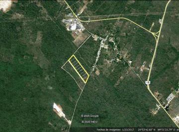 Terreno / Lote · 100000m² · Terreno en Venta de 10 Hectáreas en Venta Cerca de Mérida