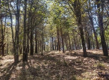 Terreno / Lote , Zacatlán · Venta de Terrenos de 1981 m², Zacatlán, Puebla.