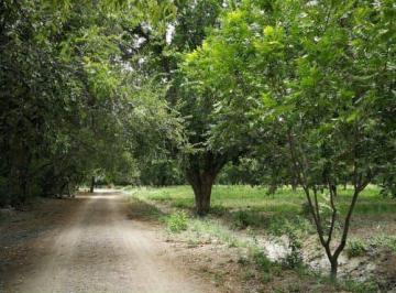 Terreno / Lote · 43010m² · Terreno en Venta en San Buenaventura, Coahuila.