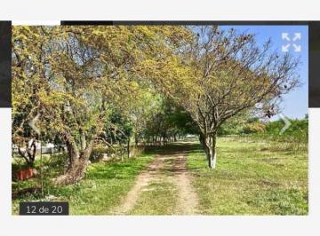 Terreno / Lote · 334000m² · Quinta Campestre en Venta en Montemorelos