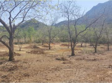 Terreno / Lote · 143241m² · Terrenos en Venta La Colmena, Allende N. L