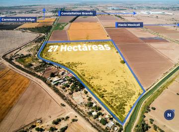 Terreno / Lote , Mexicali · Se Vende o Renta Terreno 27 Ha (Rancho Roa)
