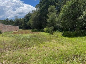 Terreno / Lote , Huasca de Ocampo · Vendo Terreno en Huasca de Ocampo, Hgo.