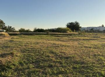 Terreno en Renta en San Juan de Ocotan · Terreno en Renta en San Juan de Ocotan
