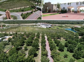 Terreno / Lote , Parras · Lotes Campestres de Lujo en Parras, Coahuila Desde Los 1,000 M²!