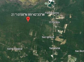 Terreno / Lote , Progreso · Terreno Propiedad Privada Una Hectarea en San Ignacio