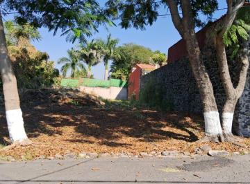 Terreno / Lote · 5000m² · Terreno en Tamoanchanta
