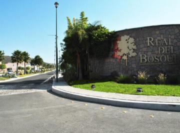 Terreno / Lote · 262m² · Terreno en Venta en Real del Bosque de 262 m² Plano