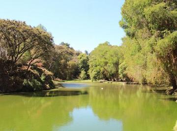 Terreno / Lote · 600m² · Terreno en Venta Oportunidad, en Fraccionamiento Rancho San Diego, Ixtapan.