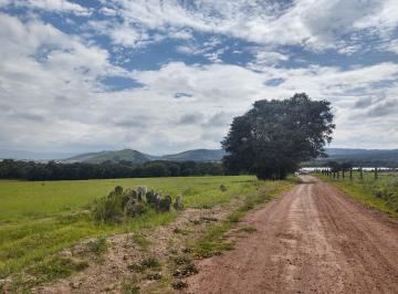 Terreno / Lote , Chignahuapan · Venta de Terreno de 7 Hectáreas en Chignahuapan, Puebla.