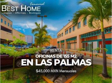 Oficina · 155m² · 15 Recámaras · 3 Estacionamientos · Oficina de 155 m² en Renta en Las Palmas - Cancún