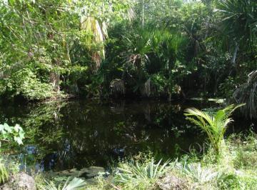 Terreno / Lote · 98800000m² · Terreno en Dzilam de Bravo