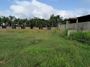 Terreno / Lote · 5000m² · Terreno en Carretera México 80