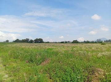 Terreno / Lote , Toluca · Terreno en Venta Toluca Capultitlán Centro