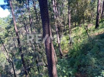 Terreno / Lote · 1816m² · Terreno en Venta - (4)