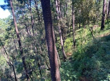 Terreno / Lote · 1816m² · Terreno en Venta - (4)