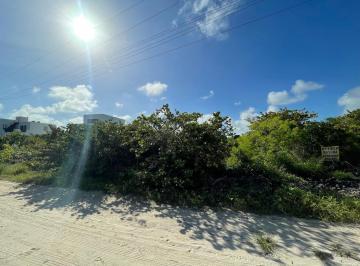 Terreno / Lote , Dzemul · Terreno en Segunda Fila en Playa en Venta en San Benito, Yucatan