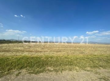 Terreno / Lote · 81307m² · Terreno de 8.1 Hectáreas en Venta en Zempoala, Cerca de Pachuca