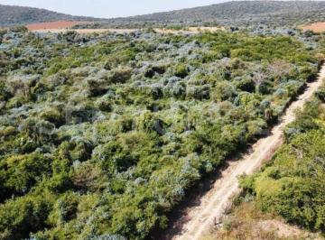 Terreno / Lote · 40000m² · Terreno Agrario en Venta, Morelos.