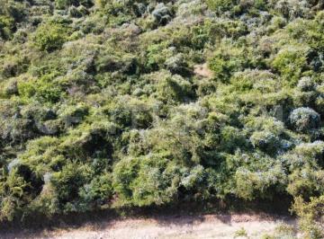 Terreno / Lote , Miacatlán · Terreno Agrario en Venta, Morelos.