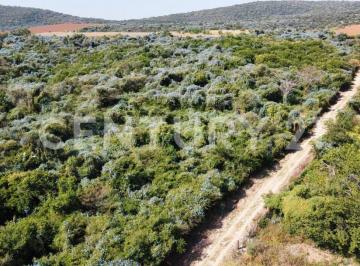 Terreno / Lote · 4m² · Terreno Agrario en Venta, Morelos.
