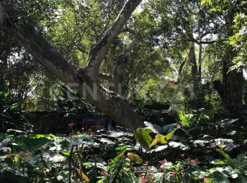 Terreno / Lote · 954m² · Terreno en El Centro de Comala