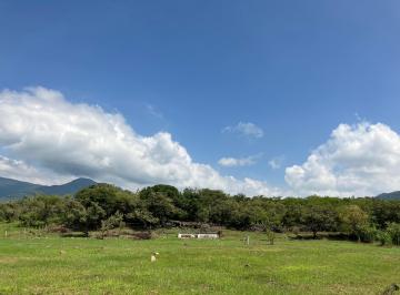 Terreno / Lote Venta 1000m² · Se Vende Lote de Mil m. Agua de Riego. Plano. Vistas Panorámicas.