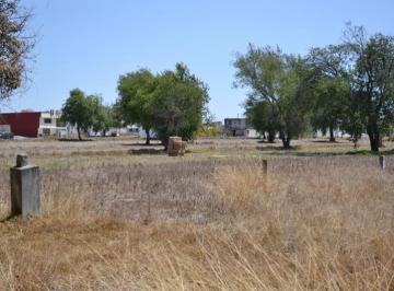 Terreno / Lote , San Pablo del Monte · Terreno de Uso Comercial o Habitaciona a La Venta, San Pablo del Monte