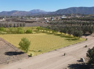 Terreno / Lote , Ensenada · Terreno en Venta en Valle de Guadalupe