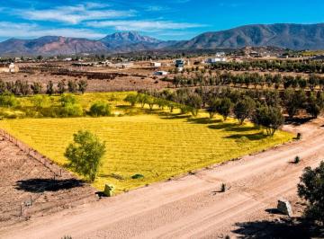 Terreno / Lote , Ensenada · Terreno en Venta en Valle de Guadalupe
