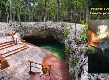 Terreno / Lote · 1000m² · Venta Terrenos Ecológicos en Tulum - Green Dream